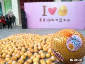 表白之吃瓜,一场别开生面的表白盛宴