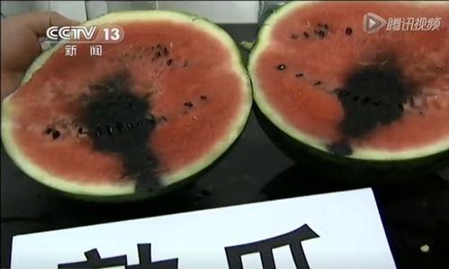 带你吃瓜蘑菇视频,带你揭秘“带你吃瓜蘑菇”视频背后的趣味与真相