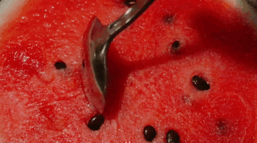 长艺吃瓜,揭秘娱乐圈幕后故事