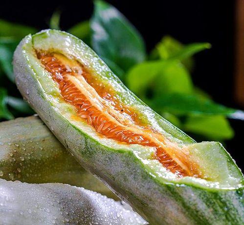 笨猪吃脆瓜,笨猪的脆瓜奇遇记