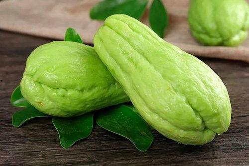 小狗吃佛手瓜好吗,小狗食用佛手瓜的安全性探讨