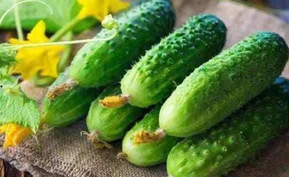 吃的瓜花是什么瓜的花,探寻不同瓜类花朵的独特魅力