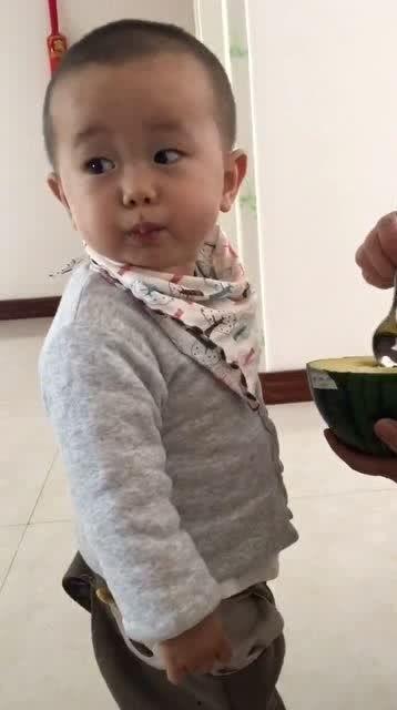 吃瓜把家吃没了