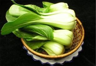 川音教育吃瓜,揭秘音乐学府的“吃瓜”风云