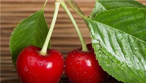 吃毛瓜可以吃樱桃吗,探索两者共食的可能性