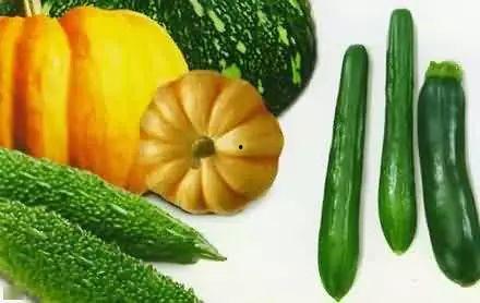 猴精吃瓜,揭秘猴子的智慧与趣味生活