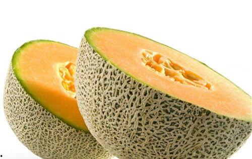 吃滋补中药可以吃哈密瓜,养生搭配的完美组合
