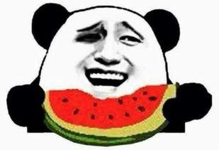 低调吃瓜群众视频,视频背后的趣味与真相