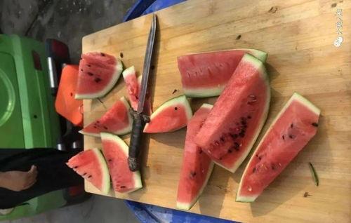 贫穷但慷慨吃瓜,吃瓜者的独特生活态度