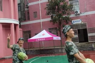 吃瓜中专,揭秘网络热议背后的真相与笑料