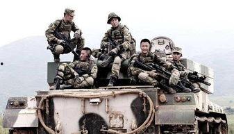 理性战狼深度吃瓜,揭秘吃瓜群众的狂欢与思考