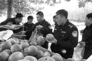 吃瓜民警,揭秘警界里的“瓜田”趣事