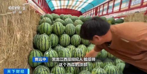 吃瓜小勇,揭秘娱乐圈那些不为人知的幕后故事