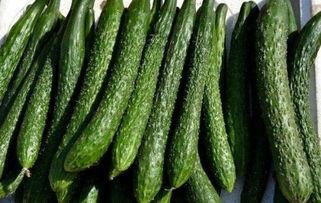 鲜瓜减肥可以吃吗