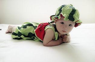 吃瓜萌主2,揭秘娱乐圈背后的甜蜜与苦涩