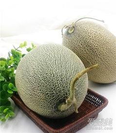 胖胖的人吃哈密瓜,哈密瓜的瘦身之旅