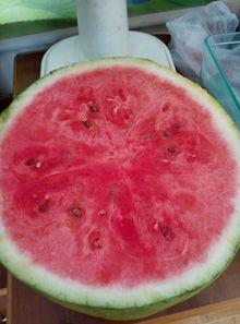 中山医院吃瓜,揭秘背后的真相与反思