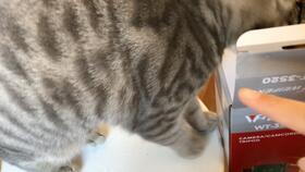 张大奕天猫吃瓜,揭秘网红电商背后的风云