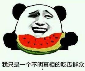 秃崽吃瓜事件,网络舆论的狂欢与反思