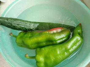 鸡娃吃瓜,揭秘当代家庭教育现象背后的真相