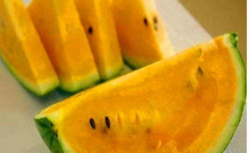 黄色瓜哪里吃,探寻黄色瓜的多样食用之道