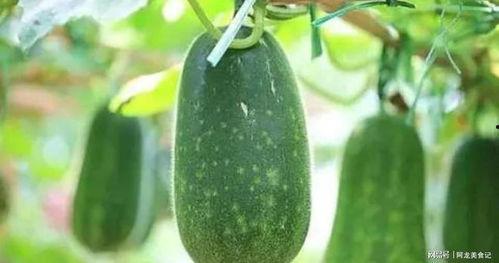 拾月吃瓜,揭秘娱乐圈幕后故事