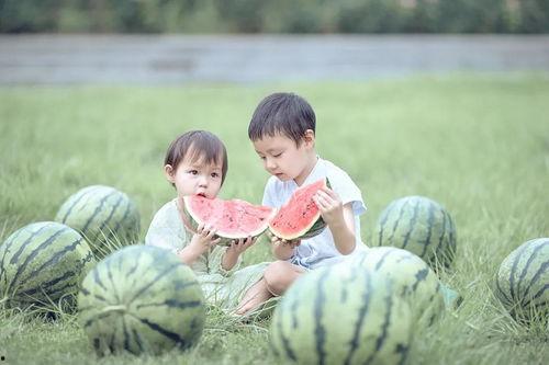 家庭摄像吃瓜,揭秘日常生活中的趣味瞬间