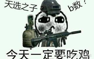 瓜兮兮吃鸡直播,趣味横生的游戏盛宴