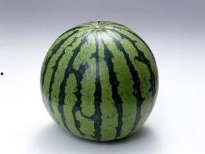 吃酉瓜会胖吗,吃酉瓜真的会让人发胖吗？