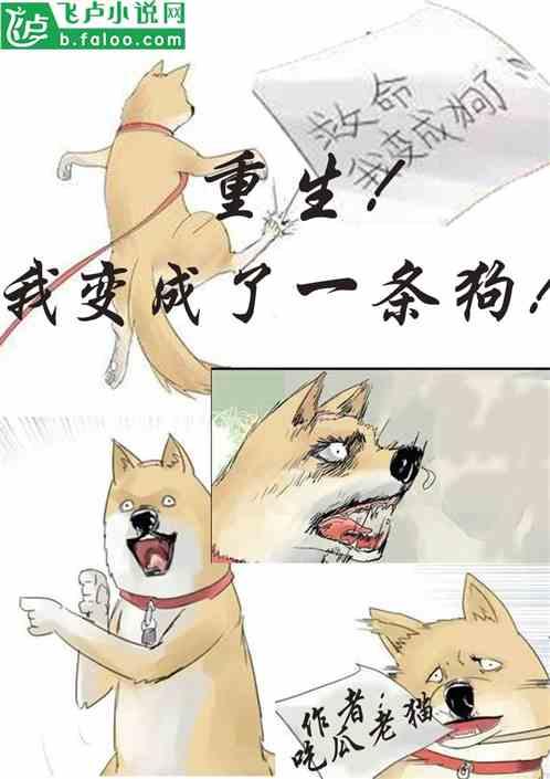 小熊吃瓜小说在线阅读,一场奇幻瓜果盛宴的冒险之旅